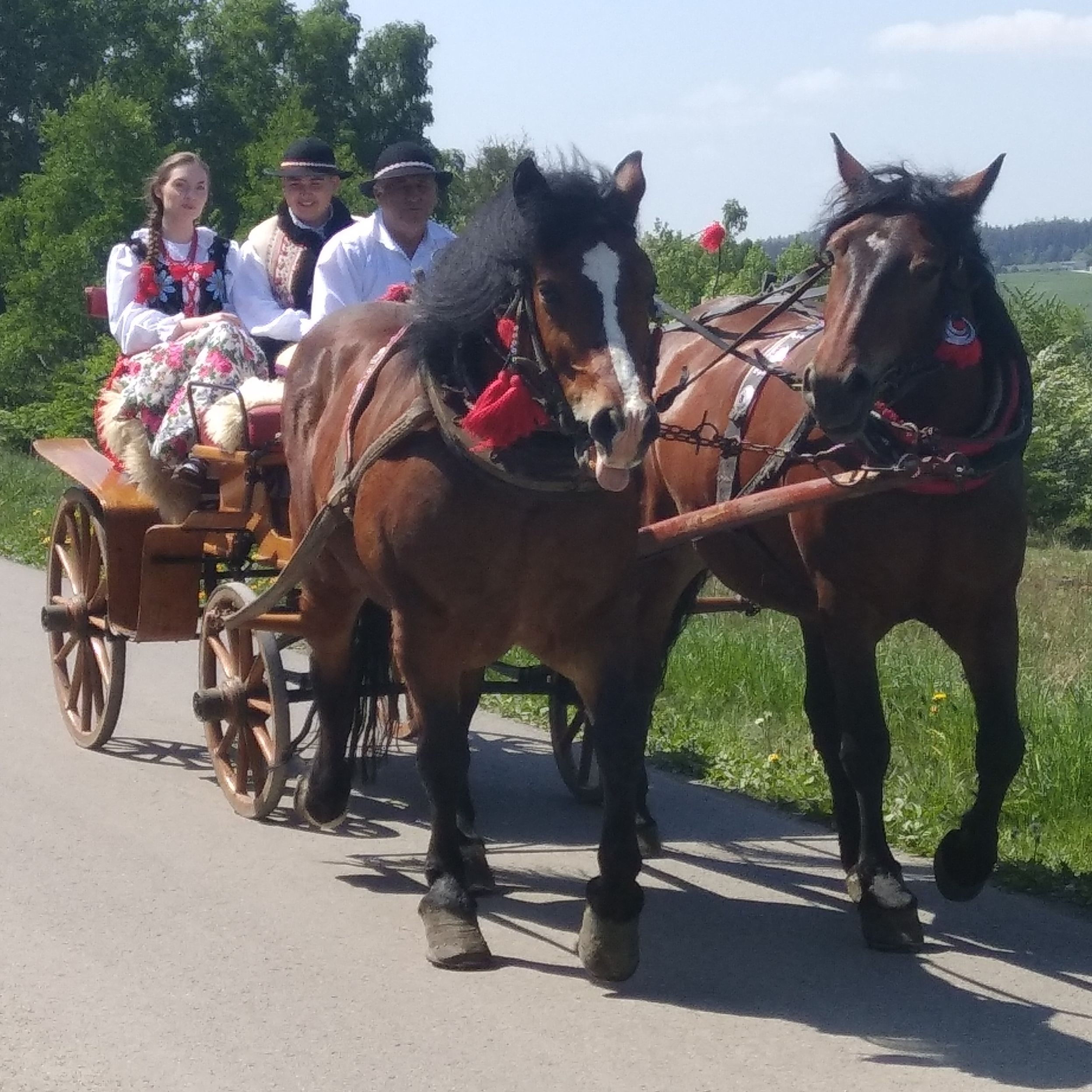 miniaturka wpisu aktualności