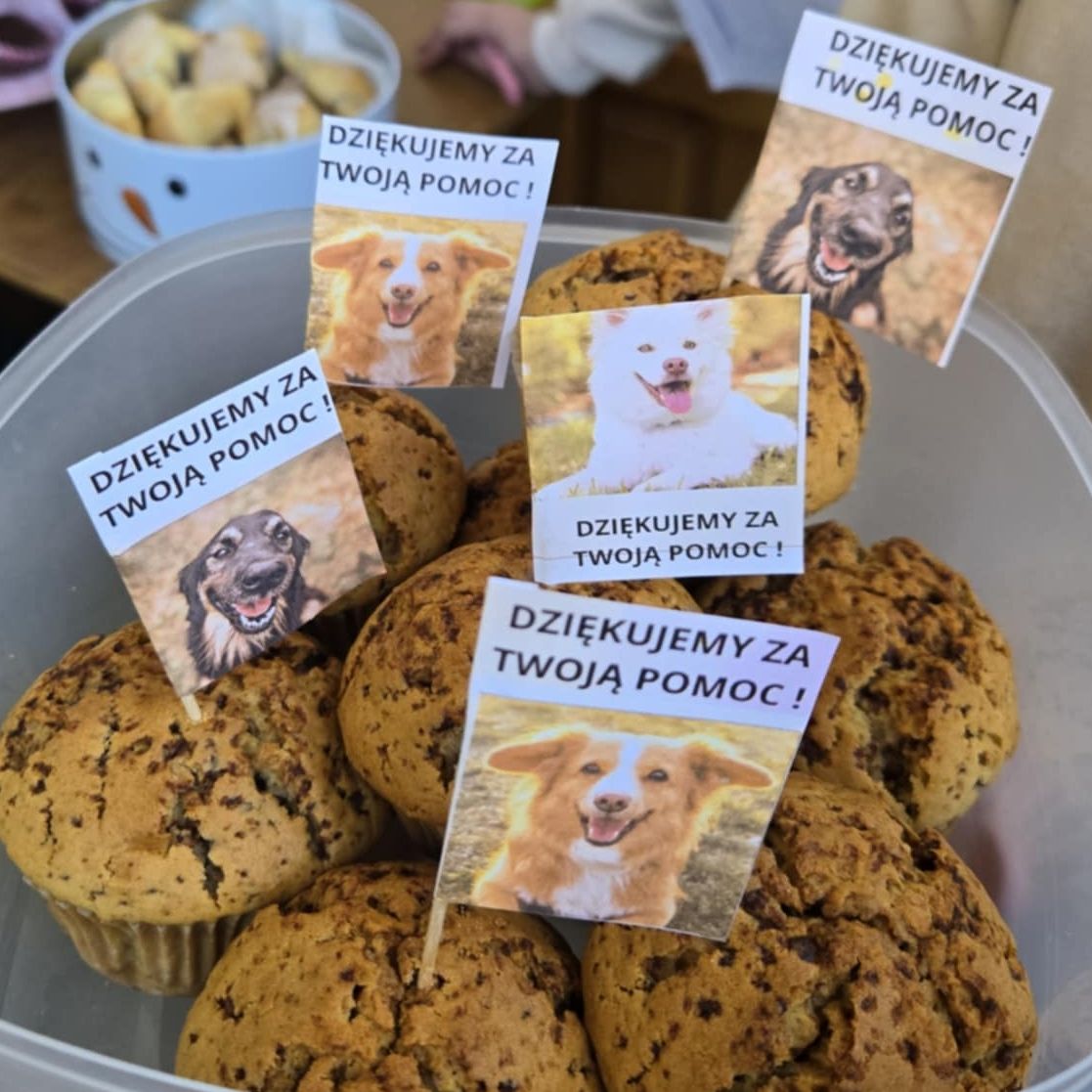 miniaturka wpisu aktualności