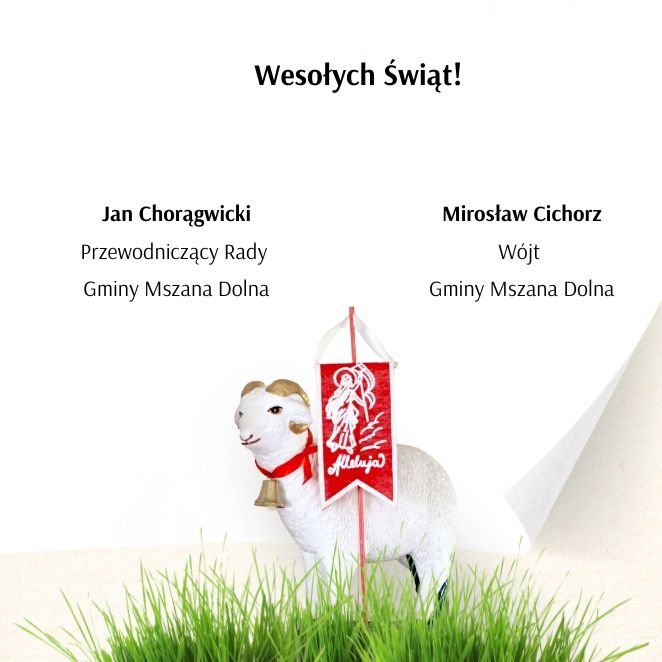 miniaturka wpisu aktualności