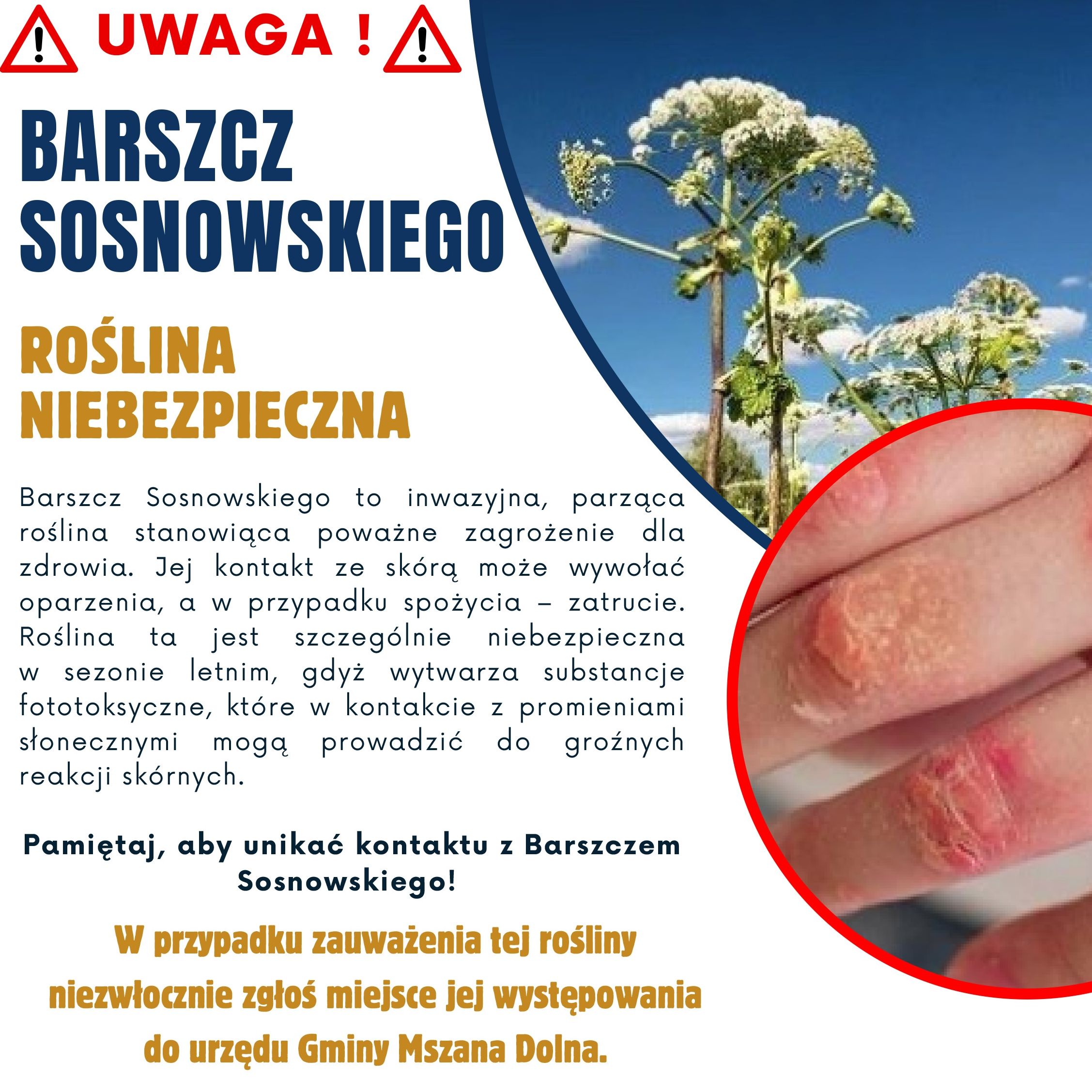 miniaturka wpisu aktualności