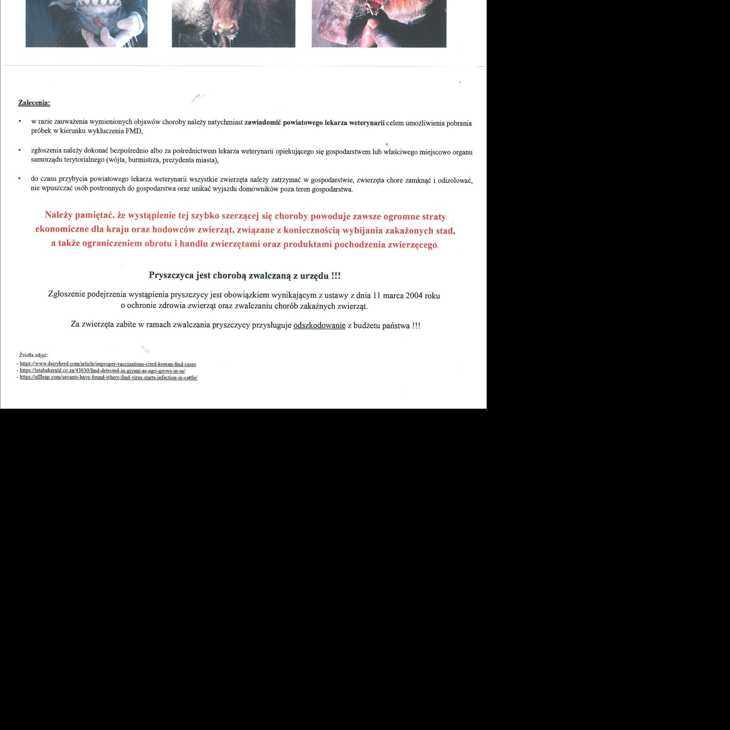 miniaturka wpisu aktualności