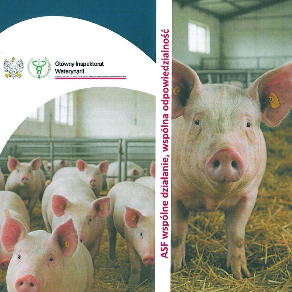 miniaturka wpisu aktualności