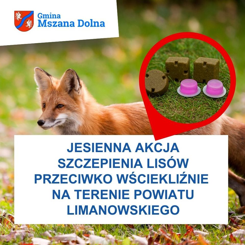 miniaturka wpisu aktualności