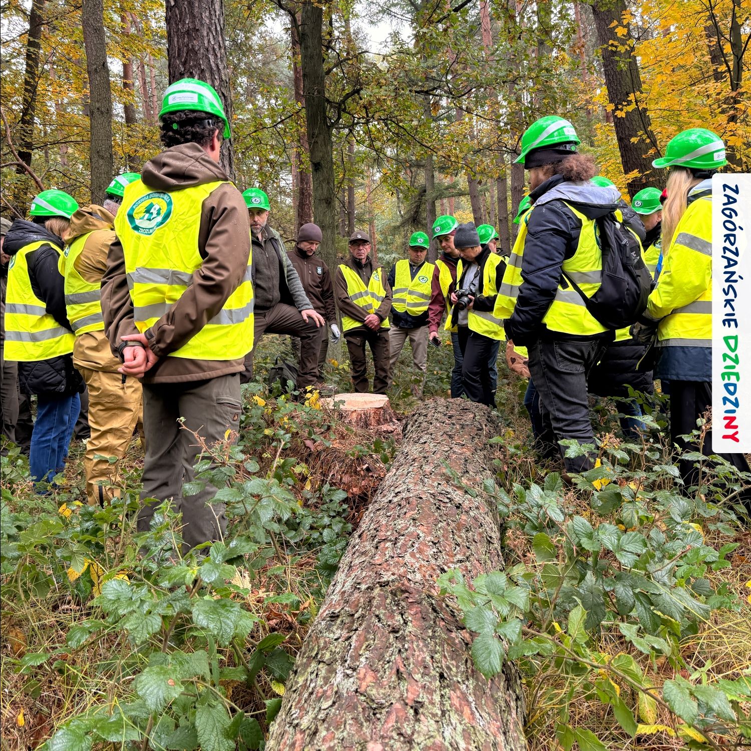miniaturka wpisu aktualności