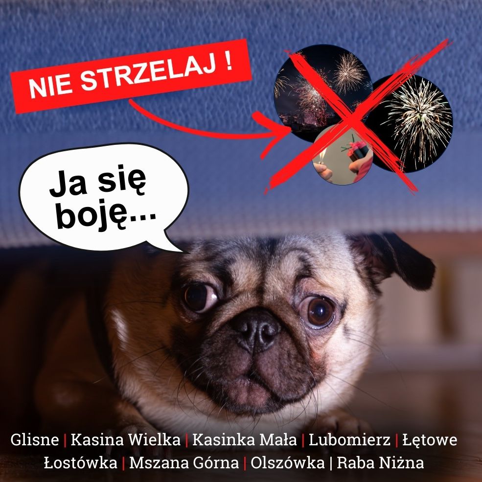 miniaturka wpisu aktualności