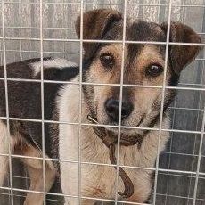 miniaturka wpisu aktualności