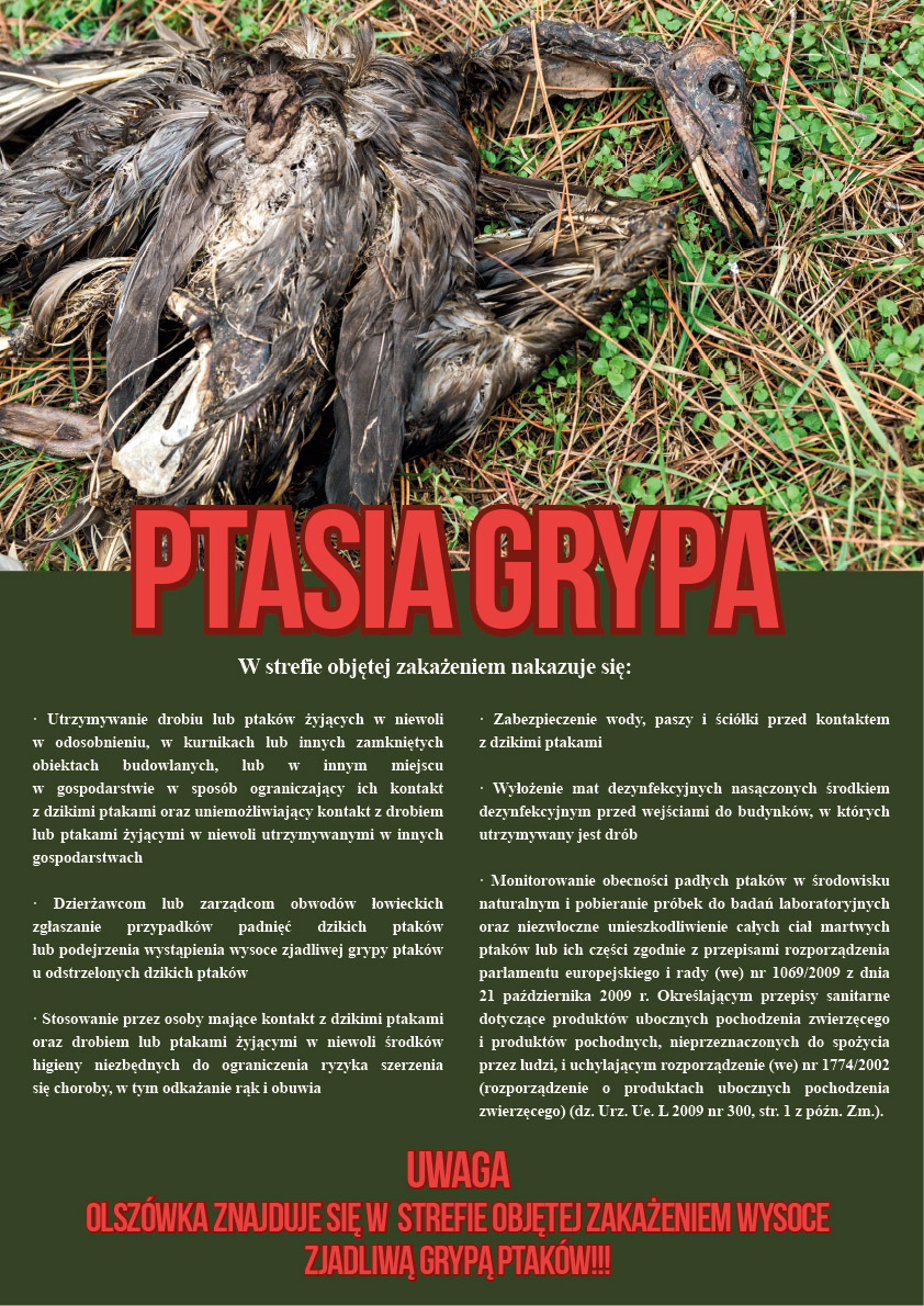 Ostrzeżenie o ptasiej grypie, Olszówka w strefie objętej zakażeniem wysoce zjadliwą grypą ptaków, zasady postępowania dla hodowców drobiu